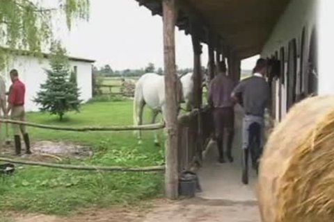 Ride Em rough - Scene 1