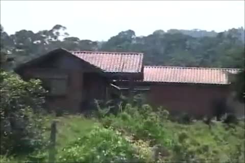 Novinho Brasileiro Dá O Cu Em Pousada