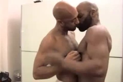 Randy Bears Have perfect slaming-rubber Sex