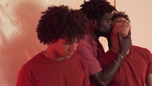 SayUncle Compilations: Stellar Studs in Action